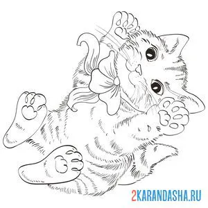 Раскраска котенок играется