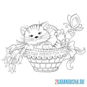 Раскраска котенок с бабочкой в корзине