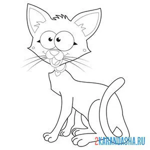 Раскраска сиамский кот