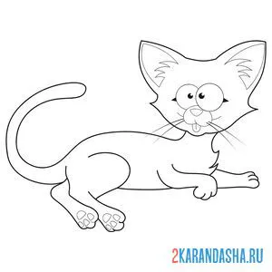 Раскраска кот ушастик