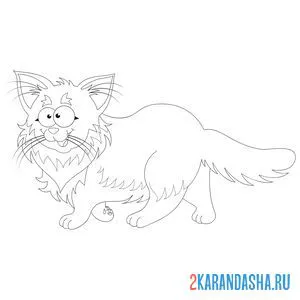 Раскраска пушистый кот