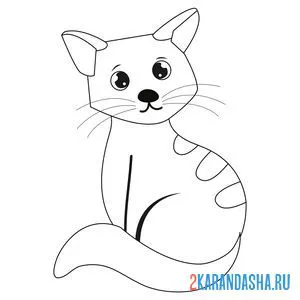 Раскраска котик мило смотрит