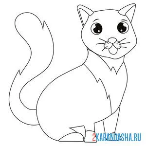 Раскраска кот с улицы