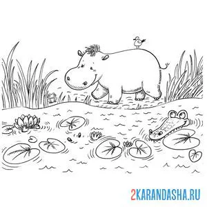 Раскраска бегемот около водоема