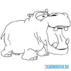 Раскраска бегемот с открытым ртом