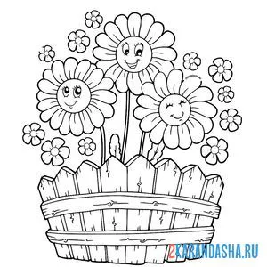 Раскраска три цветка ромашки