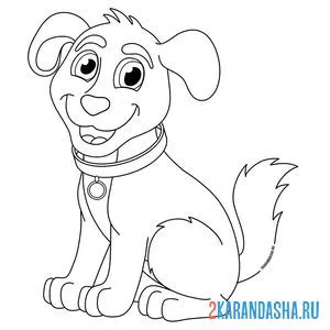 Раскраска красивый щенок