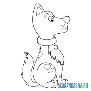Раскраска послушная собака