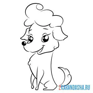 Раскраска стройная собачка