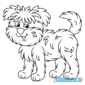 Раскраска лохматая собака