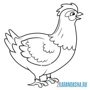 Раскраска курочка
