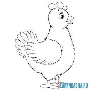 Раскраска курица детский рисунок