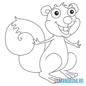 Раскраска белка для рисования