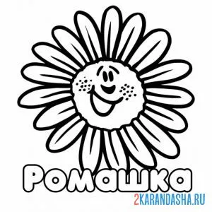 Раскраска веселая ромашка