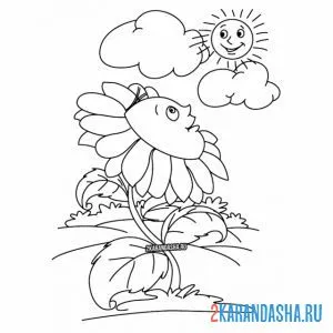 Раскраска ромашка цветочек и солнце