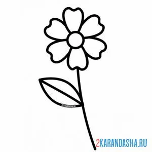 Раскраска простая ромашка