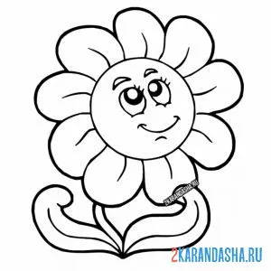 Раскраска ромашка цветочек смотрит в небо