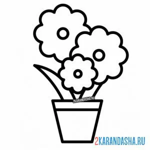 Раскраска ромашки в горшке