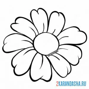 Раскраска ромашка без стебля