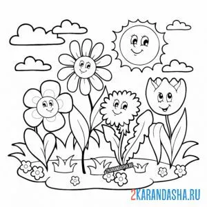 Раскраска ромашки и другие цветы