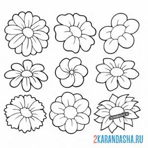 Раскраска всякие разные ромашки