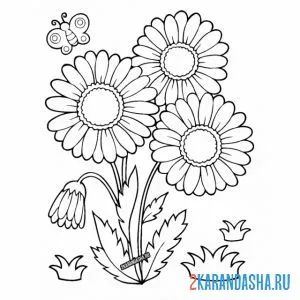 Раскраска большие ромашки и бабочка