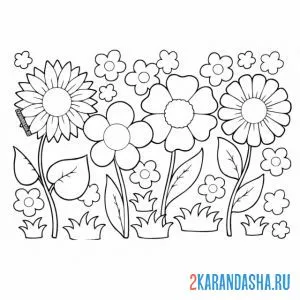 Раскраска ромашки на поле