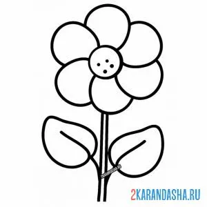 Раскраска одинокая ромашка