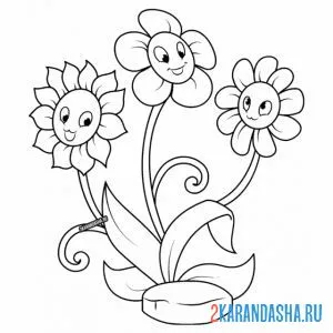 Раскраска три разных ромашки