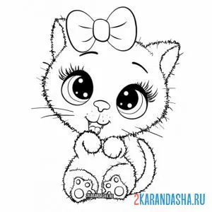Раскраска котенок умывается