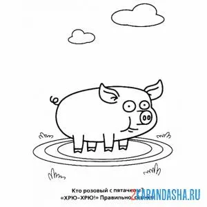 Раскраска хрюшка в луже