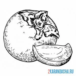 Раскраска хурма