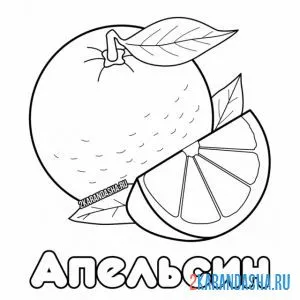 Раскраска апельсин с долькой