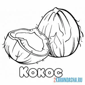 Раскраска кокос разбитый
