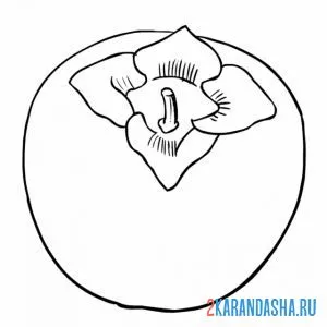 Раскраска одна хурма