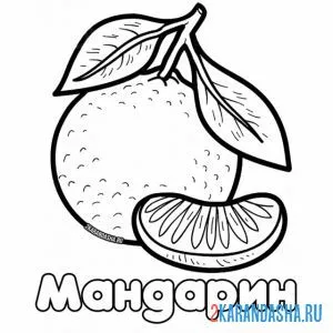 Раскраска мандарин с долькой