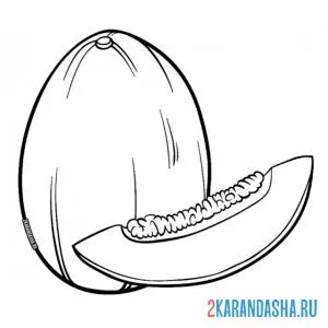Раскраска дыня и кусочек