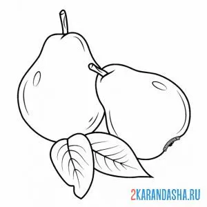 Раскраска две груши