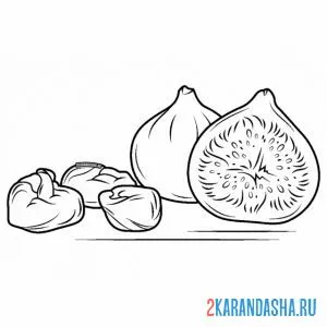 Раскраска инжир свежий