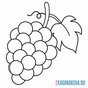 Раскраска гроздь винограда