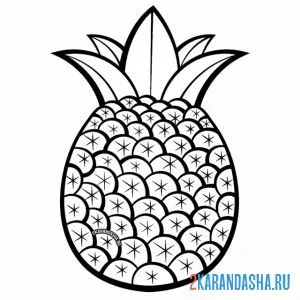 Раскраска большой ананас