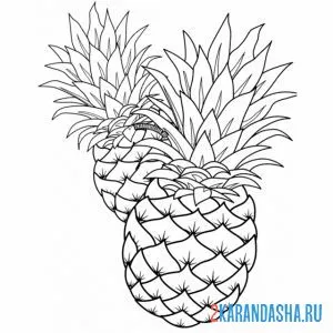 Раскраска два ананаса