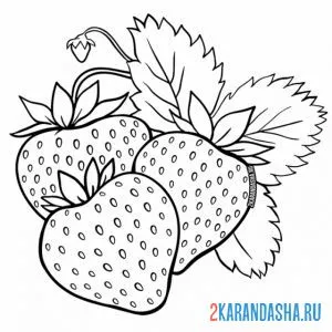 Раскраска клубника или земляника