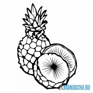 Раскраска ананас и кусочек