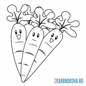 Раскраска три морковки