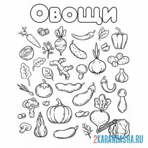Раскраска овощи много на листе