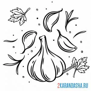 Раскраска пряный чеснок