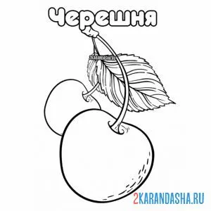 Раскраска черешня