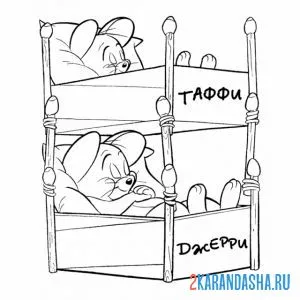 Раскраска джерри и таффи спят