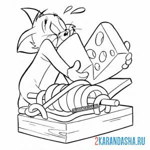 Раскраска том ставит ловушку
